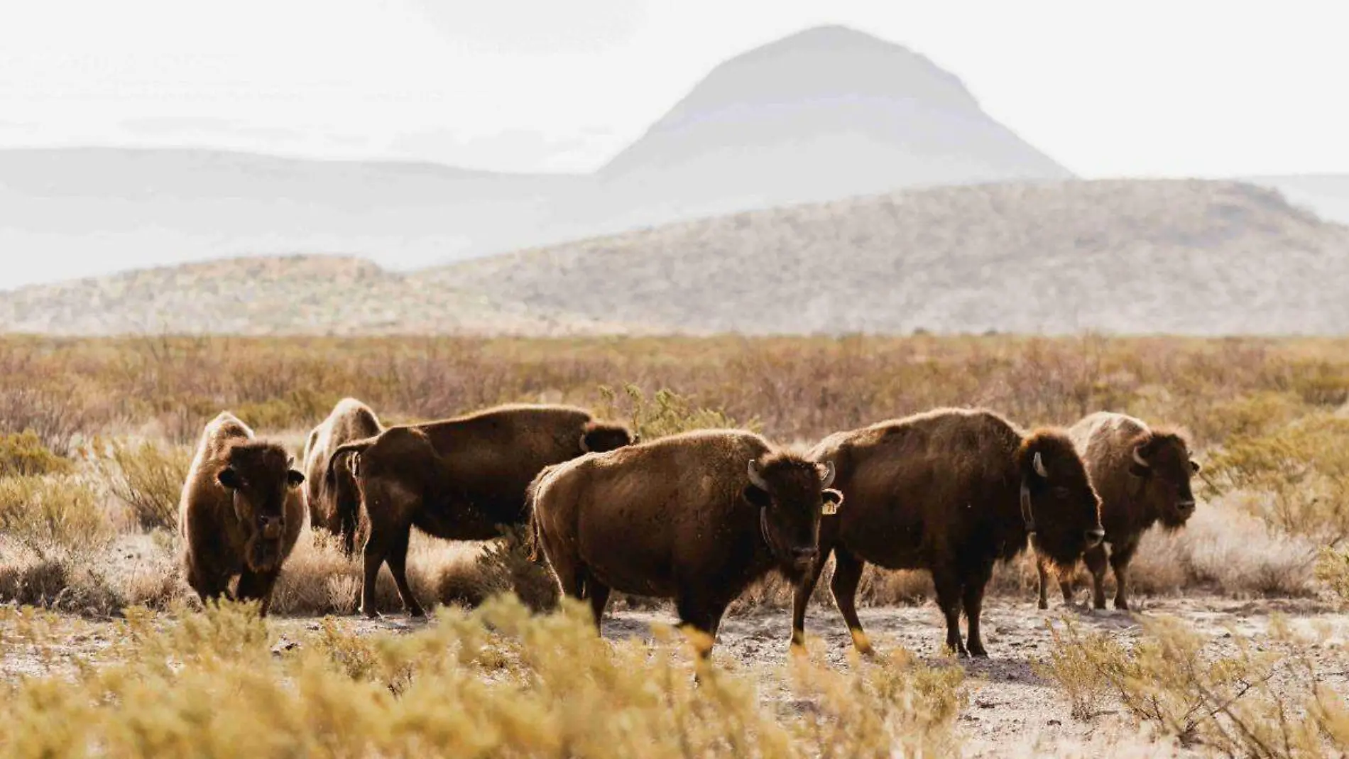 Cemex realiza esfuerzos de conservación ambiental en la Reserva Natural El Carmen